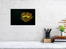 Load image into Gallery viewer, 3453518-813811